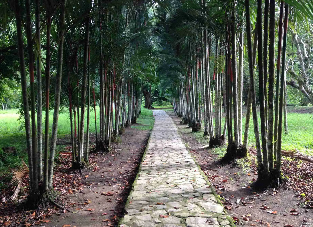 Lancetilla Botanical Garden